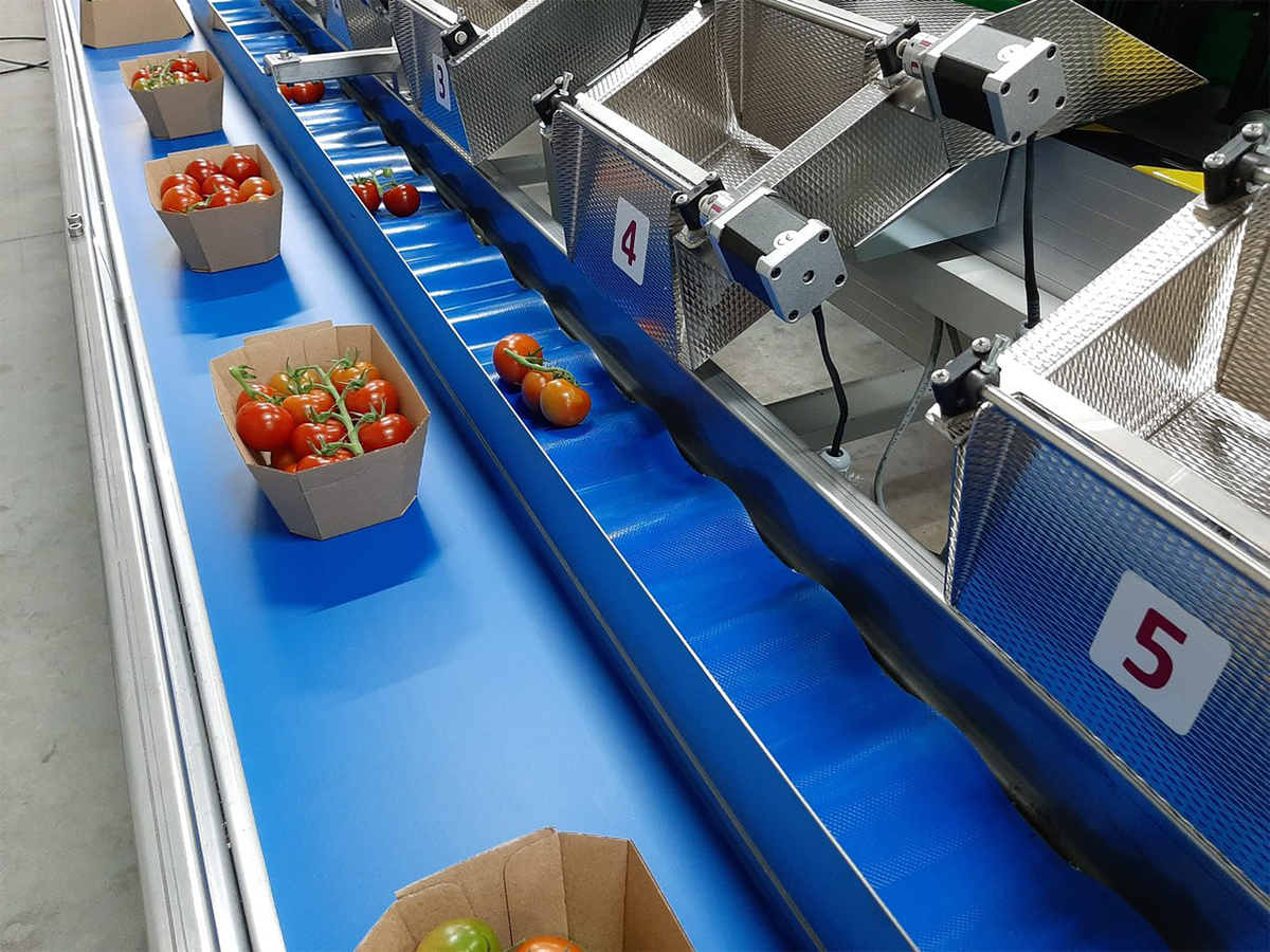C1 LUX_sorting line by weight